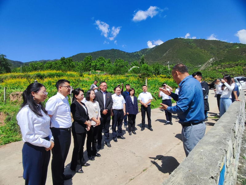 1716778049182037752.png 图片3.png